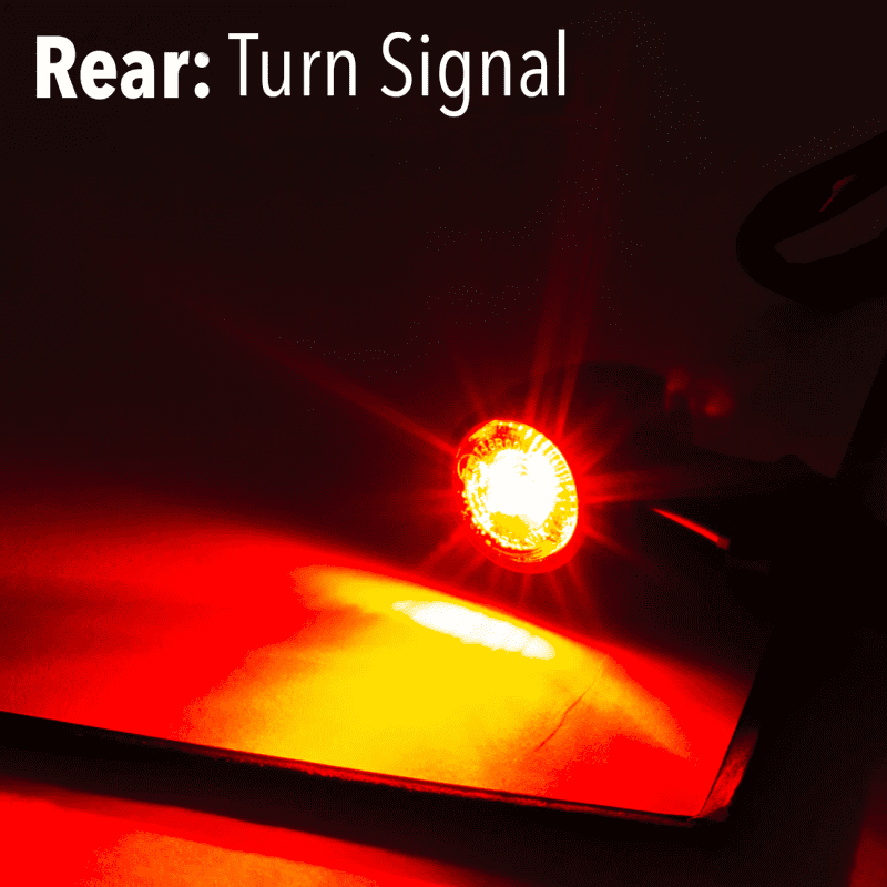 rearturnsignal